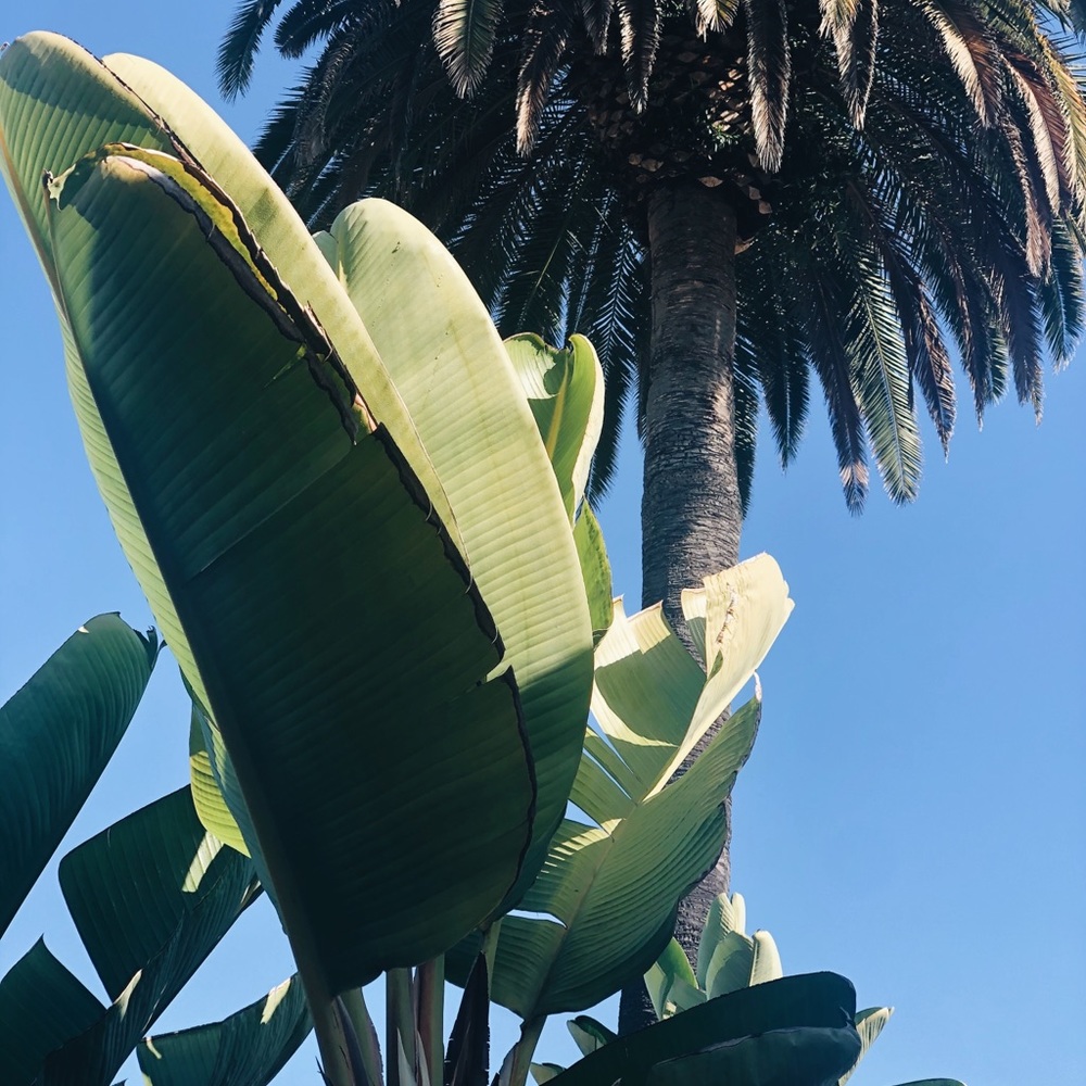 Meet your Posher, Koreen